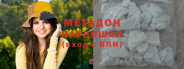 шишки Арсеньев