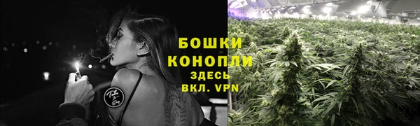 шишки Арсеньев