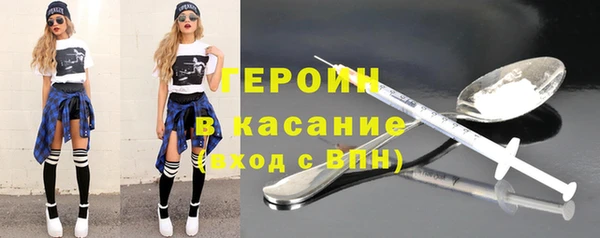 шишки Арсеньев