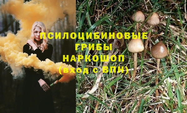 шишки Арсеньев