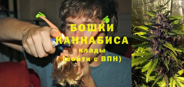 шишки Арсеньев
