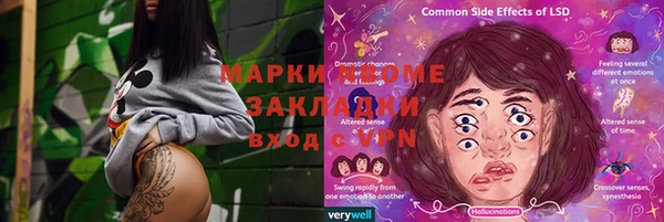 шишки Арсеньев